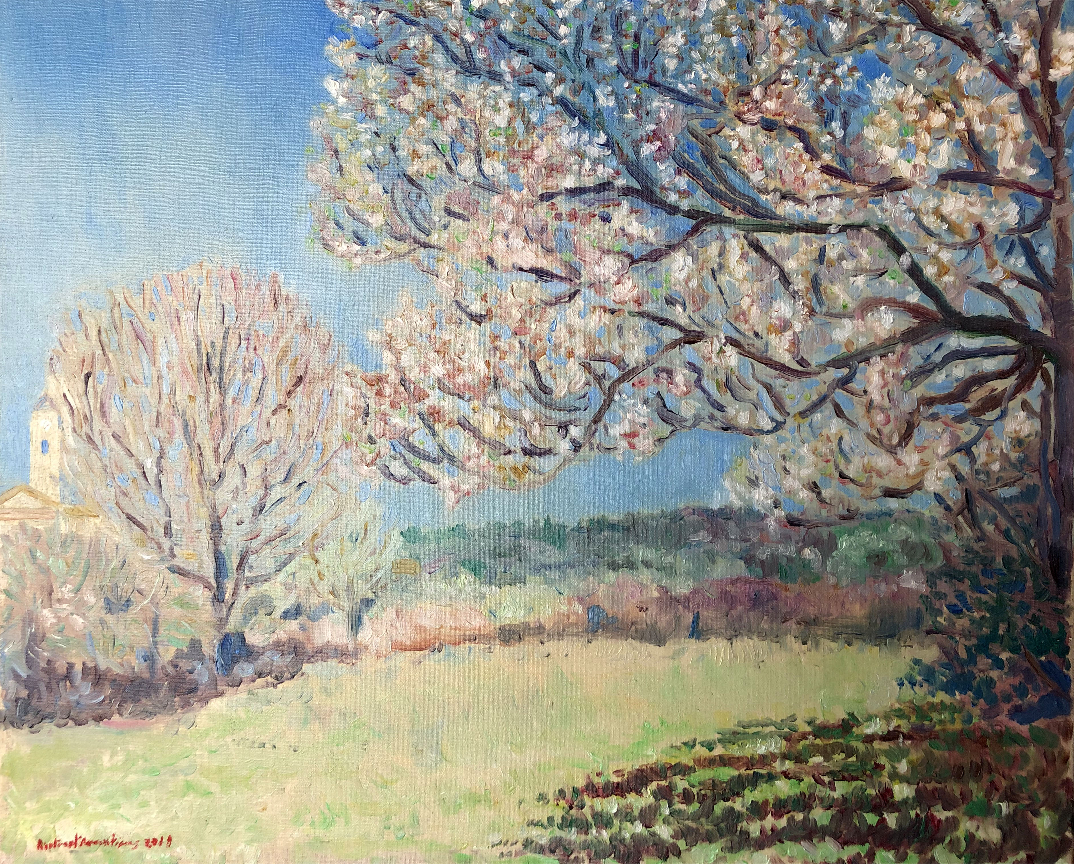 Arbres en Fleurs Plascassier