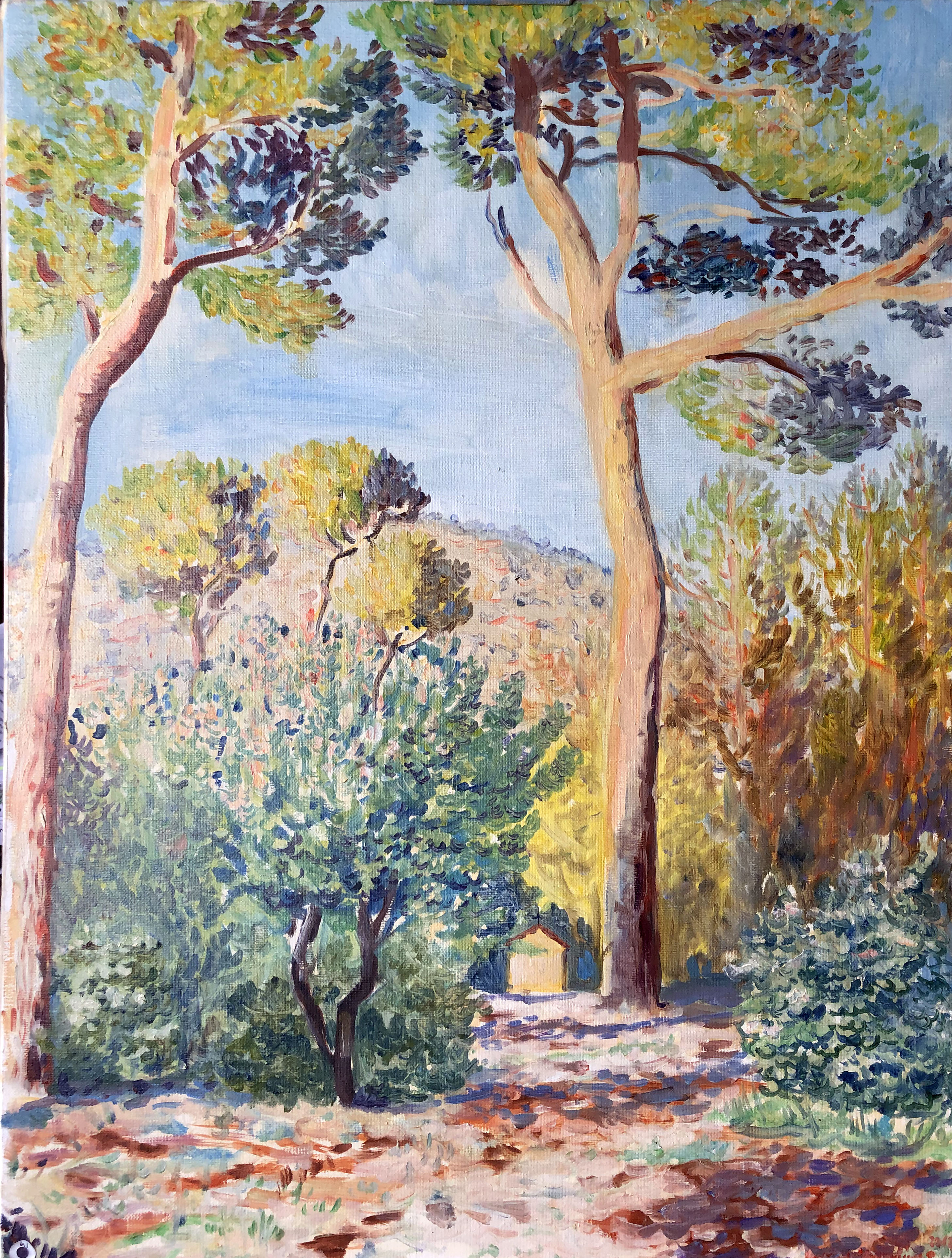Sous bois à Grasse Roquevignon