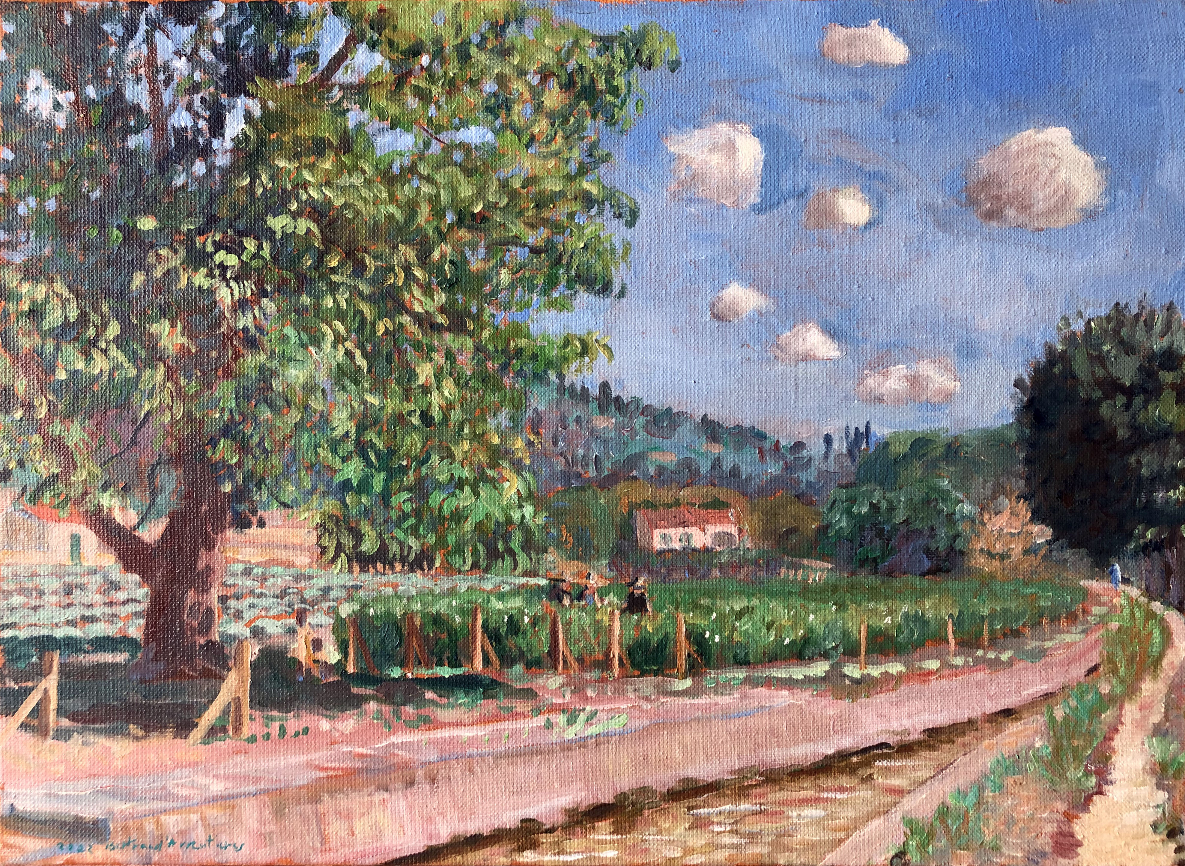 Canal de la Siagne à La Madeleine, cueillette du Jasmin