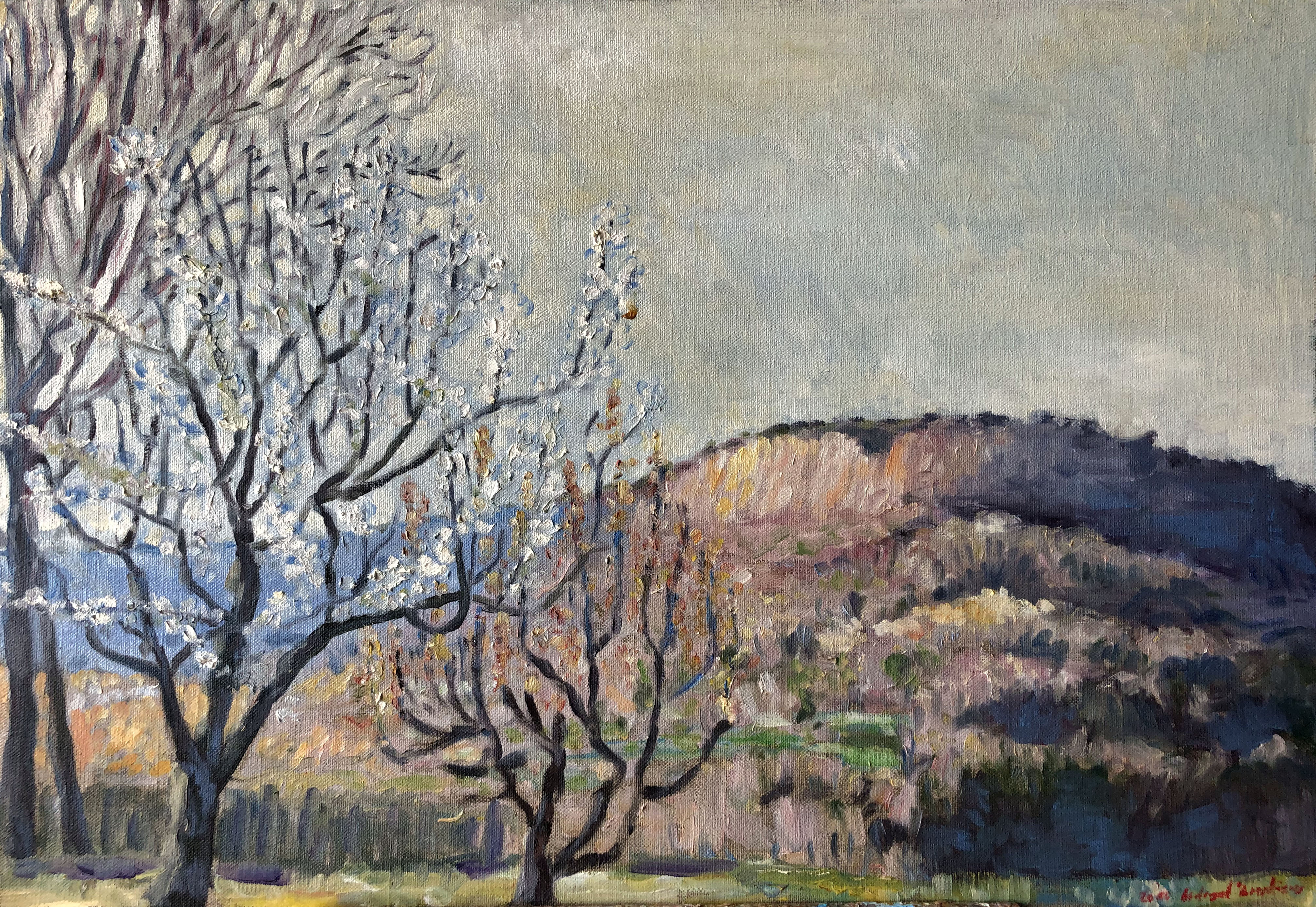 Arbres en Fleurs Saint Jeaume