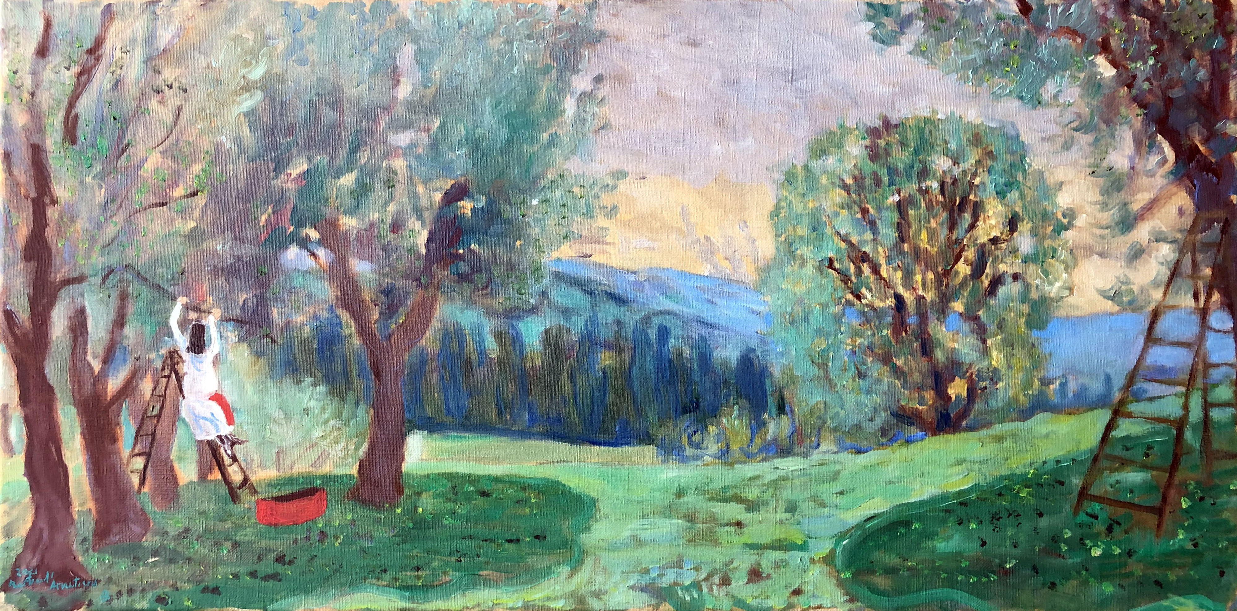Cueillette des olives