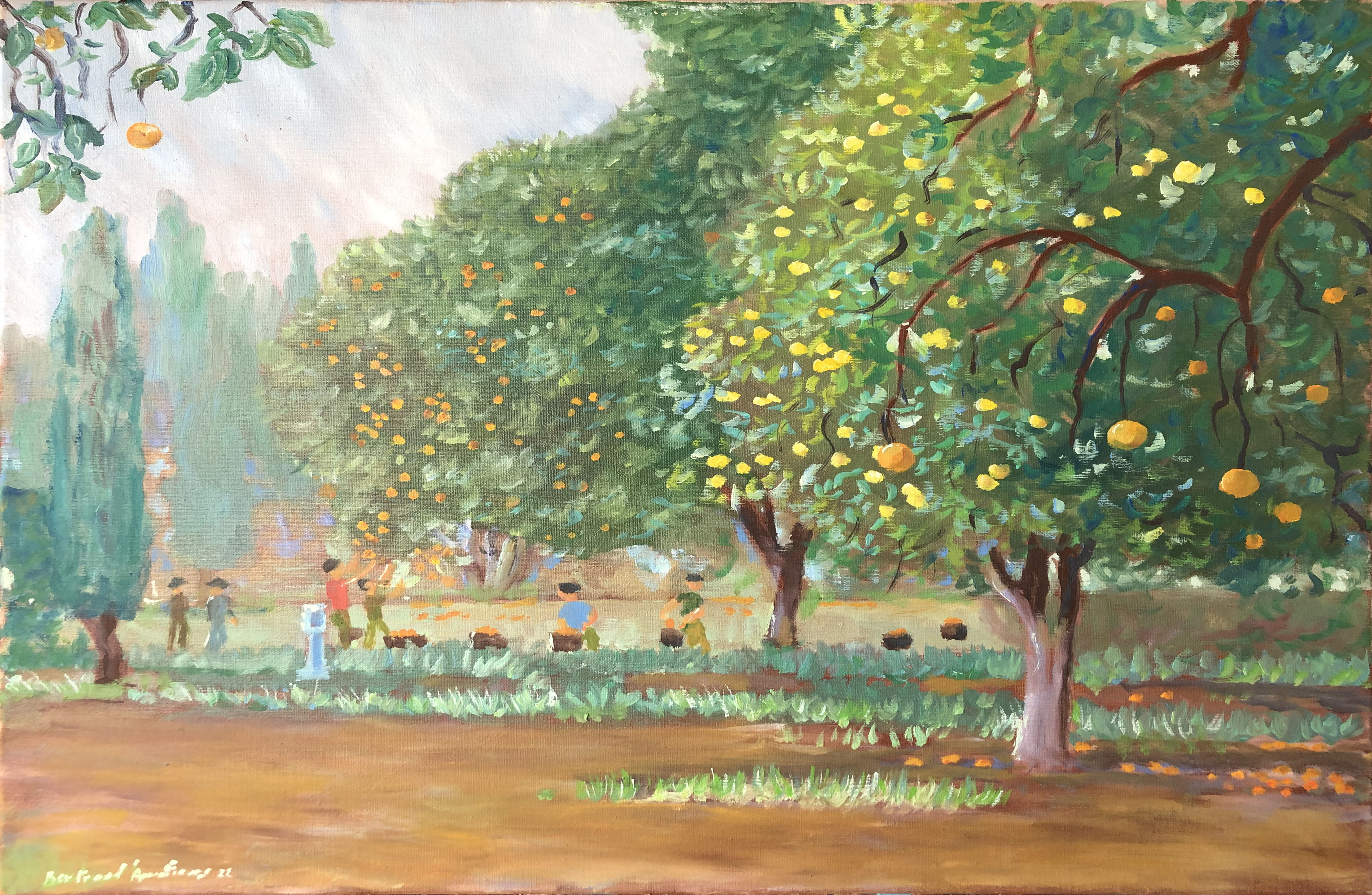 Orangers et Citroniers à Seville