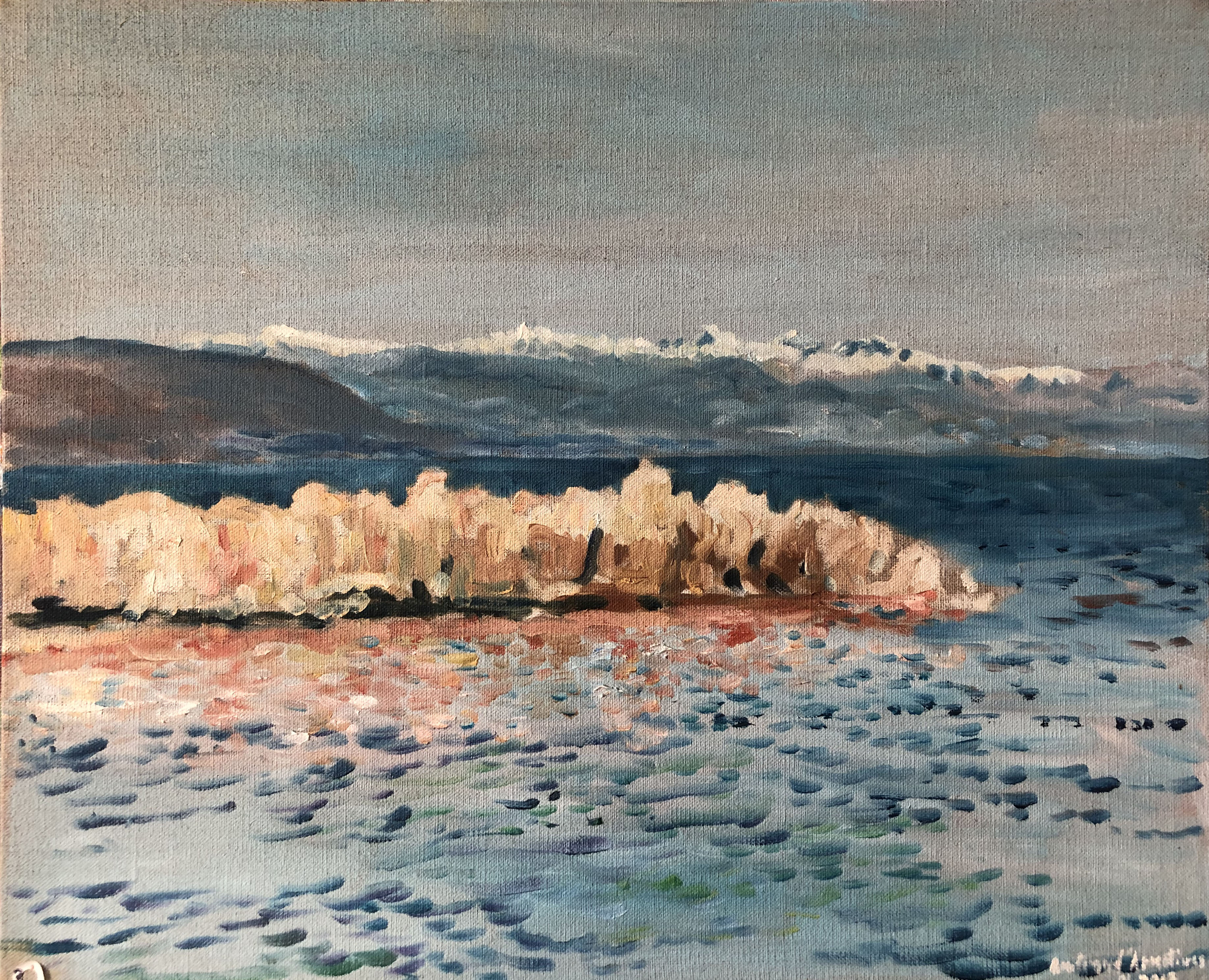 Cap d'Antibes Hiver avec Alpes enneigées 2